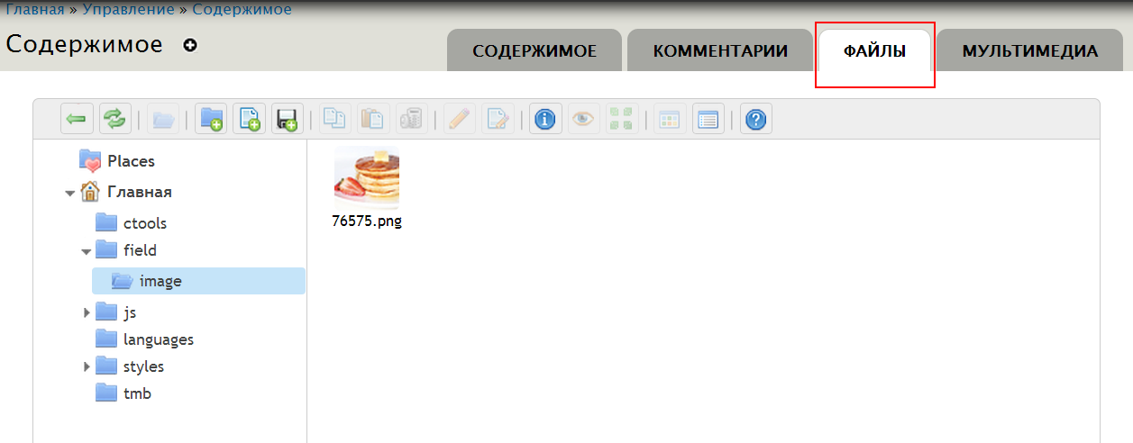 Elfinder files