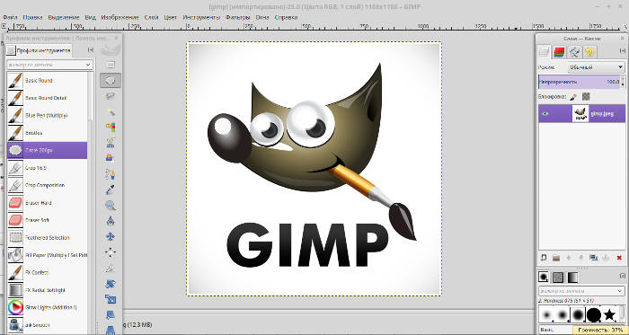 gimp-pkm